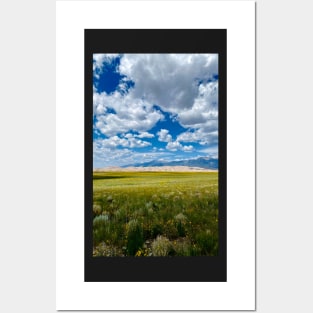 Sand Dunes Colorado Posters and Art